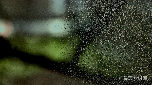 高清摄影 雨滴下的朦胧世界