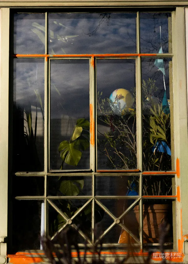 高清摄影 透过窗棂的自然与艺术