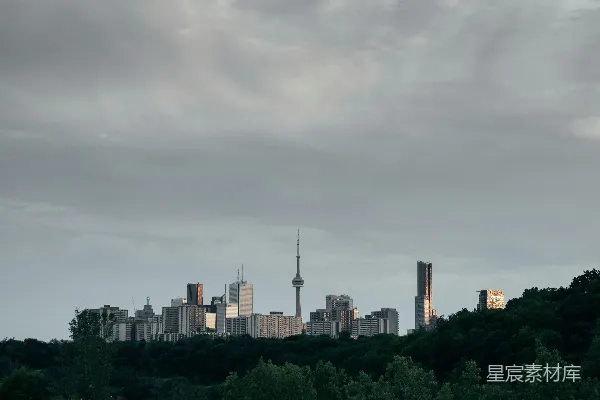 高清摄影 多伦多天际线与树木