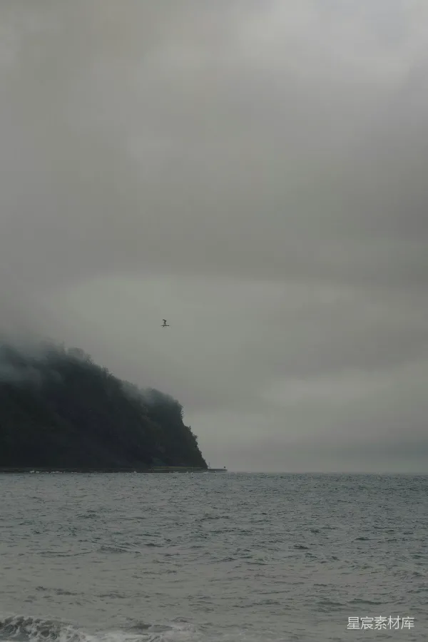高清摄影 雾海孤鸟