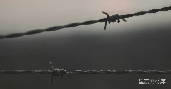 高清摄影 铁丝网的轮廓