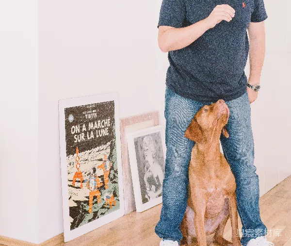 高清摄影 主人与爱犬的温馨时光