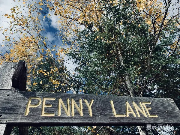 高清摄影 Penny Lane的秋天
