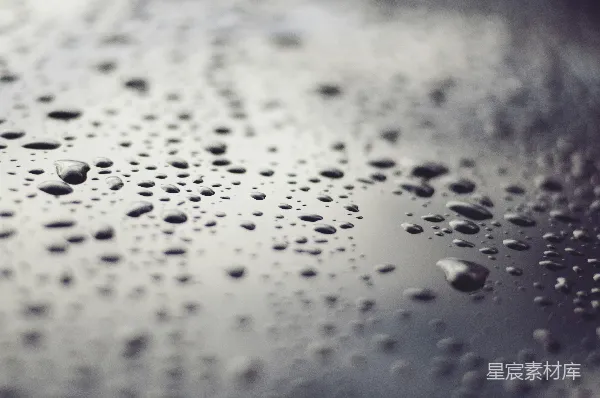 高清摄影 雨滴的静谧世界