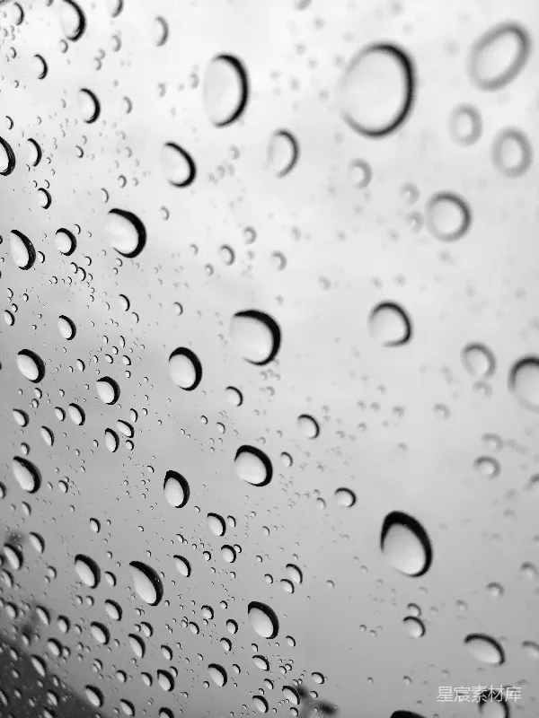 高清摄影 雨滴的黑白世界