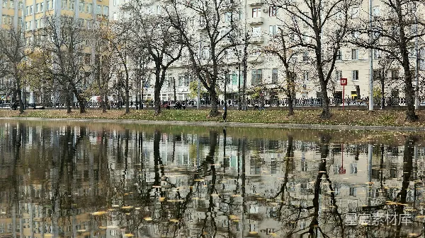 高清摄影 城市公园的宁静倒影