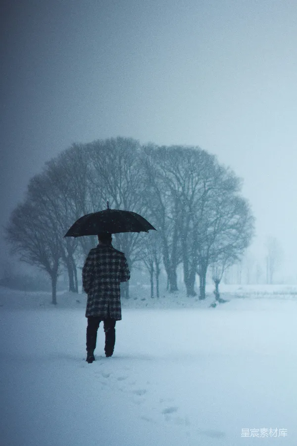高清摄影 雪中独行者