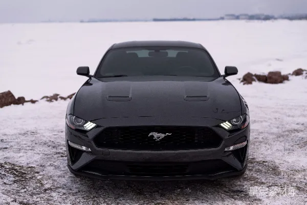 高清摄影 雪地中的福特Mustang