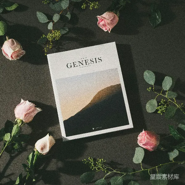 高清摄影 创世纪：自然与人文的交织