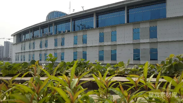 高清摄影 现代建筑与绿色植物的和谐共处