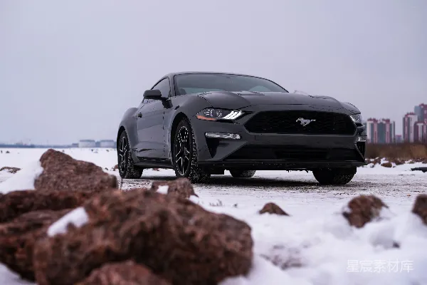 高清摄影 冬季雪地中的福特Mustang