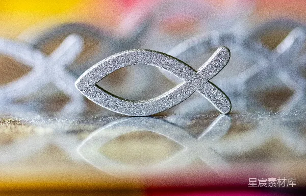 高清摄影 金属质感的鱼形标志