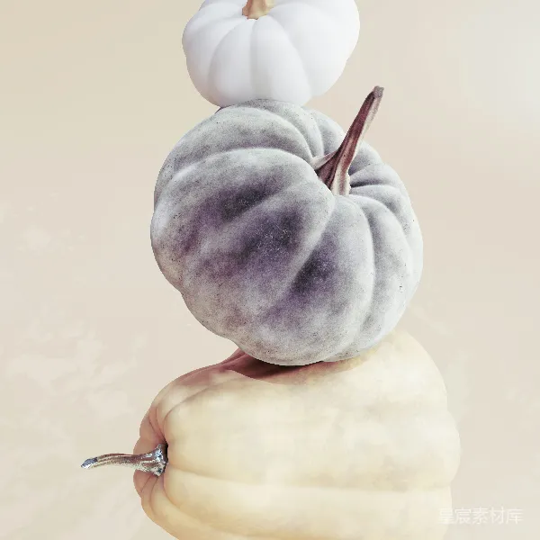 高清摄影 紫色南瓜与白色南瓜