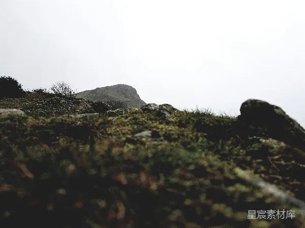 高清摄影 山间薄雾下的岩石