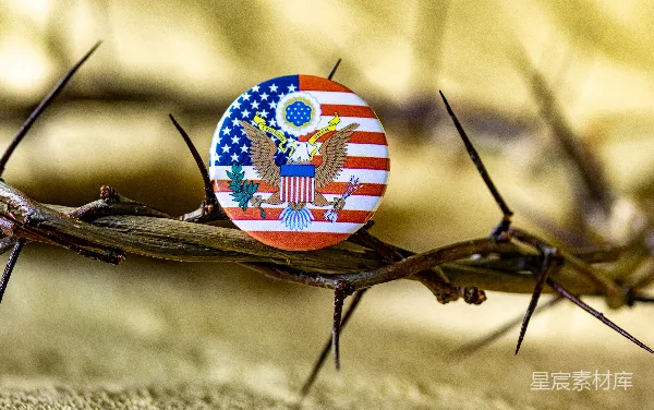 高清摄影 美国国旗徽章与荆棘冠