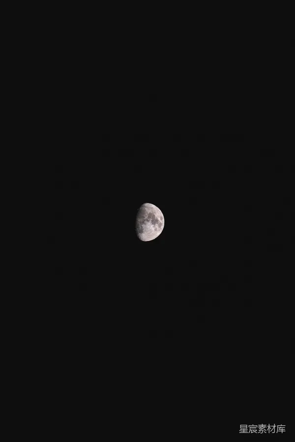 高清摄影 夜空中的一轮明月