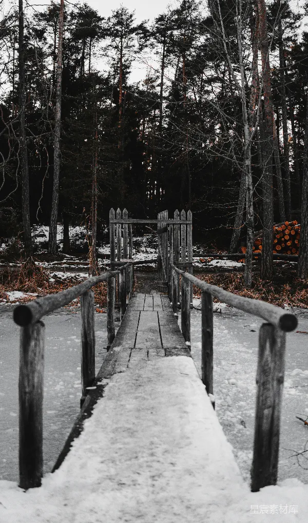 高清摄影 冬日雪地上的木桥