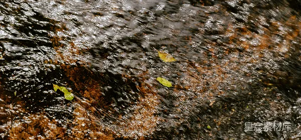 高清摄影 清澈的溪流