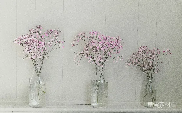 高清摄影 粉色小花瓶插花