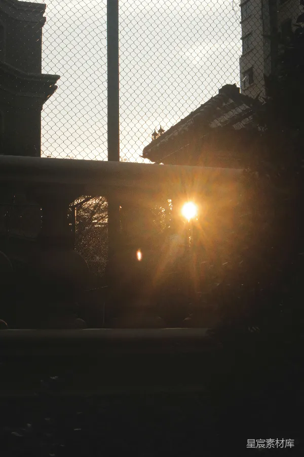 高清摄影 夕阳透过铁丝网