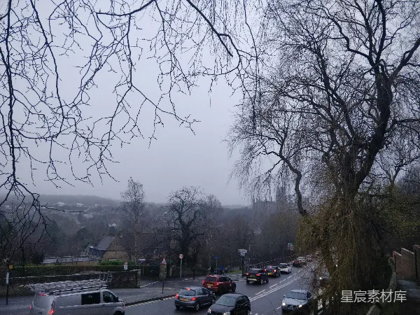 高清摄影 雾中静谧的街道