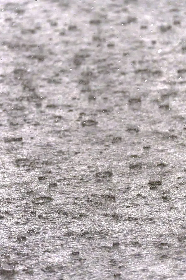 高清摄影 雨中的水滴