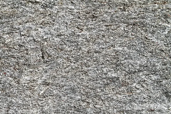 高清摄影 粗糙的木质纹理背景