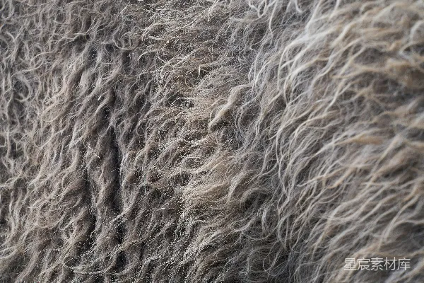 高清摄影 蓬松的羊毛纹理