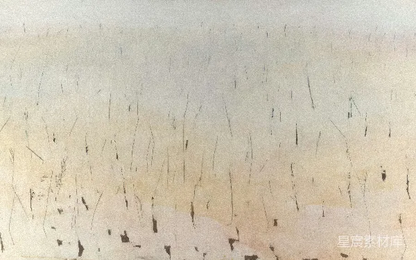 高清摄影 斑驳的木板背景