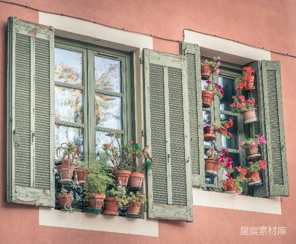 高清摄影 窗外的花与绿植