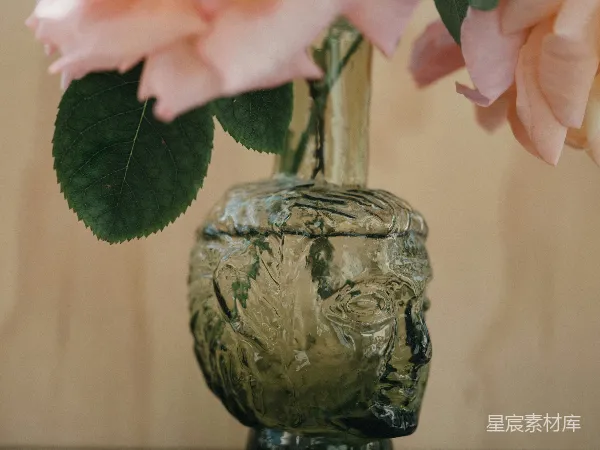 高清摄影 玻璃人头花瓶与玫瑰