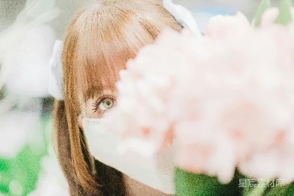 高清摄影 花海中的少女