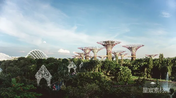 高清摄影 新加坡滨海湾花园的壮丽景观