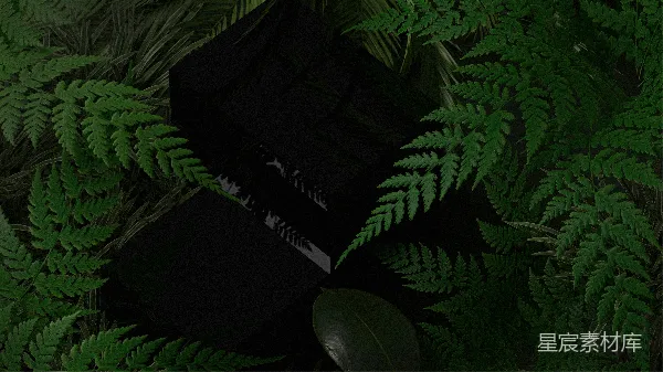 高清摄影 暗夜中的植物与书籍