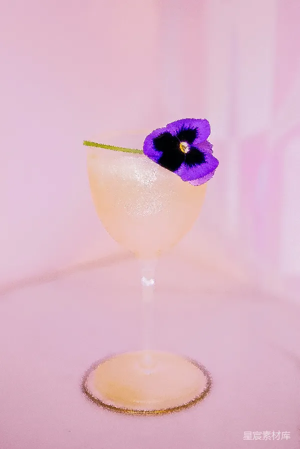 高清摄影 紫色花卉装饰的鸡尾酒