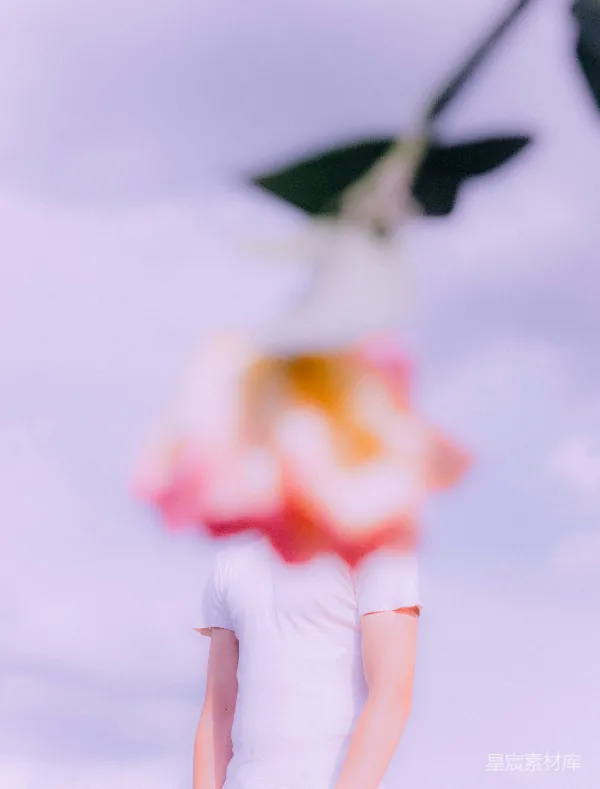 高清摄影 云中的蝴蝶与花影