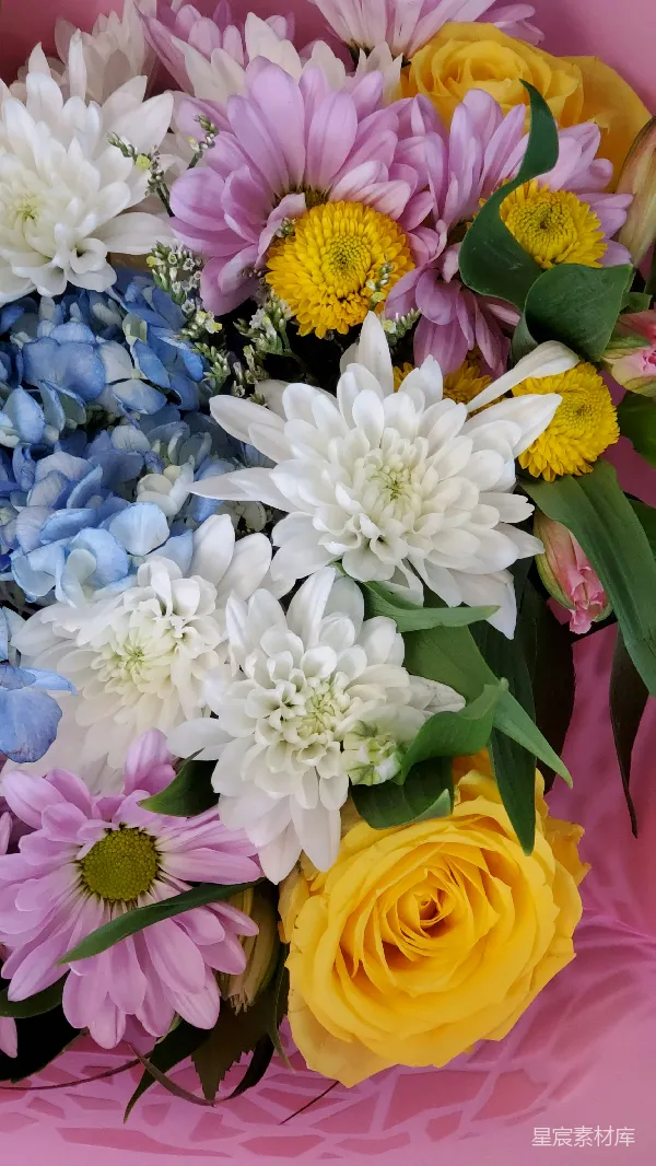 高清摄影 缤纷花束：多彩花卉的视觉盛宴
