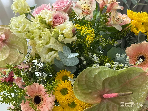 高清摄影 色彩斑斓的花束