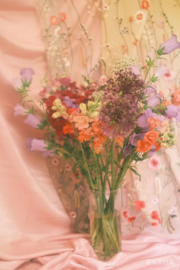 高清摄影 梦幻花瓶中的多彩花卉