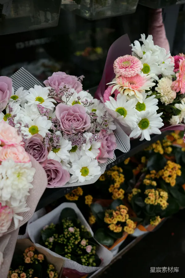 高清摄影 花市中的多彩花束