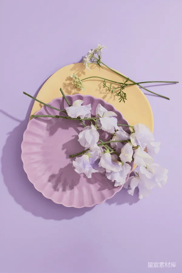 高清摄影 淡紫色盘子上的白色花朵