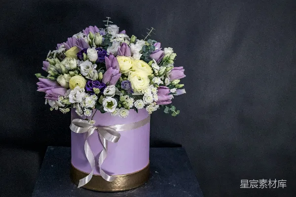 高清摄影 紫色花盒优雅花卉