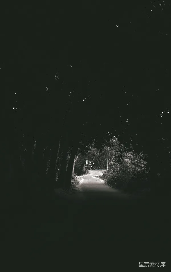 高清摄影 幽静的林间小道