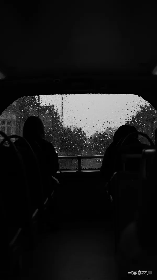 高清摄影 雨中旅途