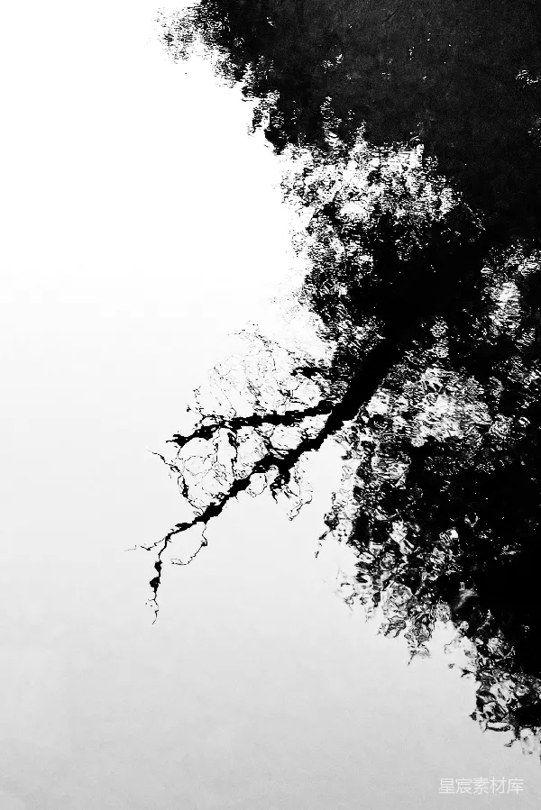 高清摄影 黑白抽象水纹