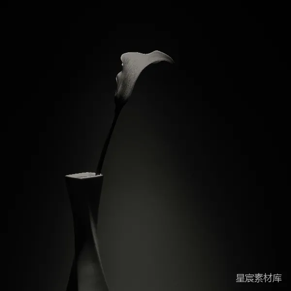 高清摄影 静谧花瓶中的百合