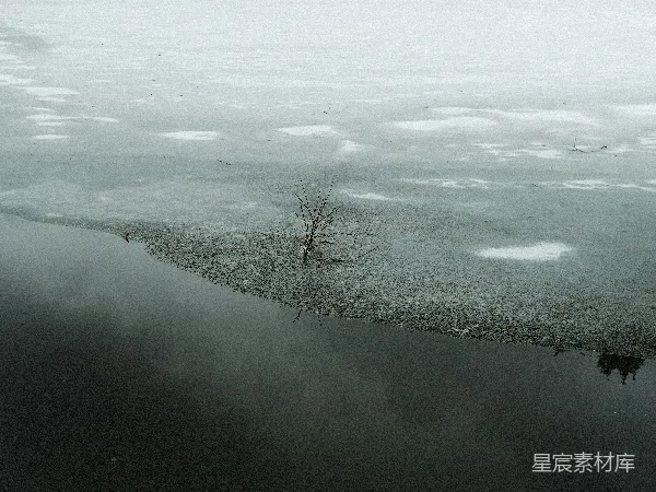 高清摄影 冬日静谧：冰湖与孤树