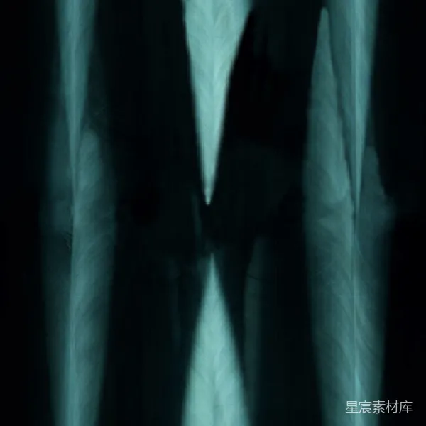 材质纹理 X光片上的骨骼轮廓