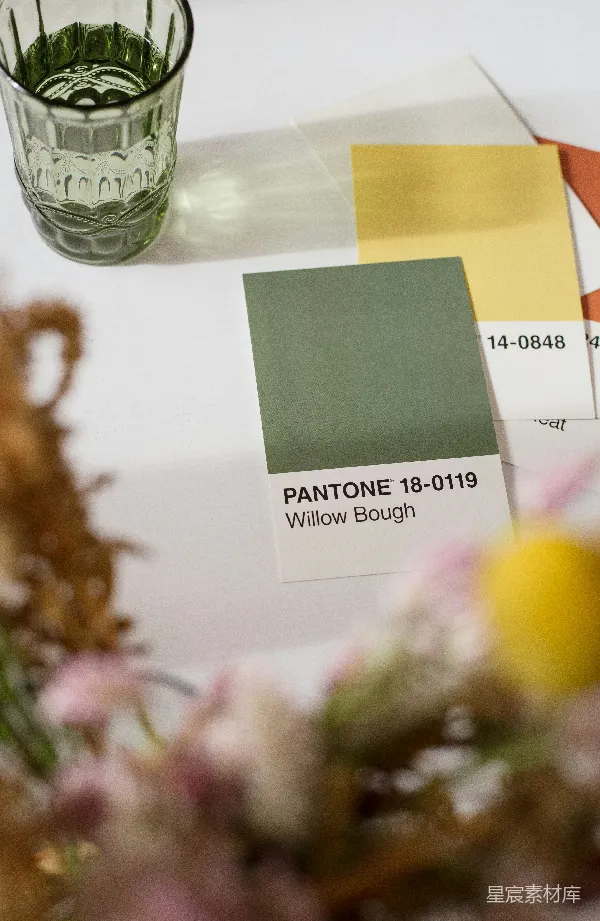 高清摄影 PANTONE 18-0119 Willow Bough 色卡展示