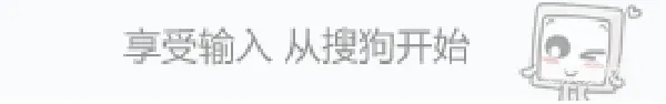 材质纹理 享受输入，从搜狗开始